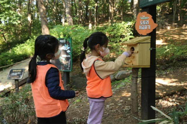서울의 한 유아숲체험원을 찾은 아이들이 다람쥐에게 도토리를 선물하는 체험을 하고 있다. 서울시 제공