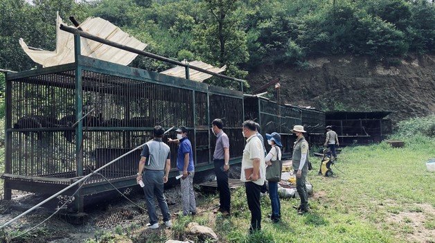용인시, 환경부, 경기도, 국립공원공단 관계자들이 지난 7월 곰이 탈출한 사육장을 점검하고 있는 모습.(뉴스1 DB) © News1