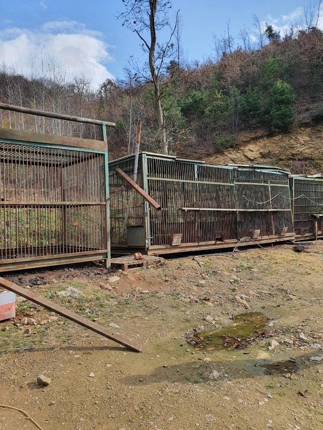 반달가슴곰 5마리가 탈출한 용인 사육농장 모습.(경기도소방재난본부 제공)© News1