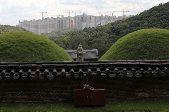 경기도 김포시 풍무동 장릉(사적 제202호)에서 인천 서구 검단신도시에 짓고 있는 아파트 단지가 보인다. /뉴스1 © News1