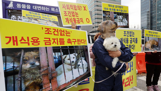 26일 오후 서울 종로구 이순신 장군 동상 앞에서 한국동물보호연합을 비롯한 시민단체들이 개 식용 종식을 위한 조건없는 대책과 계획을 촉구하는 기자회견을 하고 있다. 2021.11.26/뉴스1 © News1