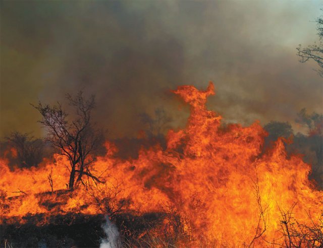 남아프리카 사바나 지역에서 발생한 초원 산불. Carla Staver 제공