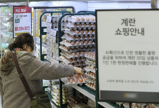 서울의 한 대형마트에서 시민들이 달걀을 고르고 있다.  2021.1.20/뉴스1 © News1