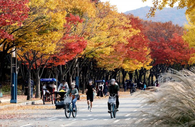 인천대공원 산책로 에서 자전거를 즐기는 시민들 뉴스1