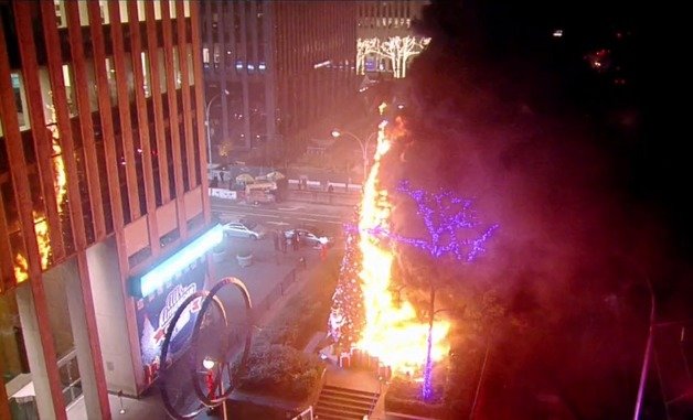 8일(현지시간) 폭스뉴스 본사 앞에 위치한 15m짜리 크리스마스에 불을 지른 크레이그 타마나하(49)가 체포됐다. 2021.12.09/© 뉴스1(트위터 갈무리)