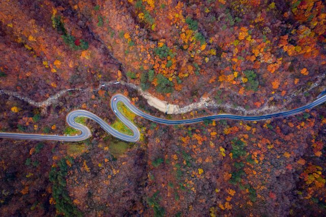 11월 표지는 늦가을 단풍 속으로 빨려 들어가는 듯한 강릉 노추산 단풍길을 담았다.
