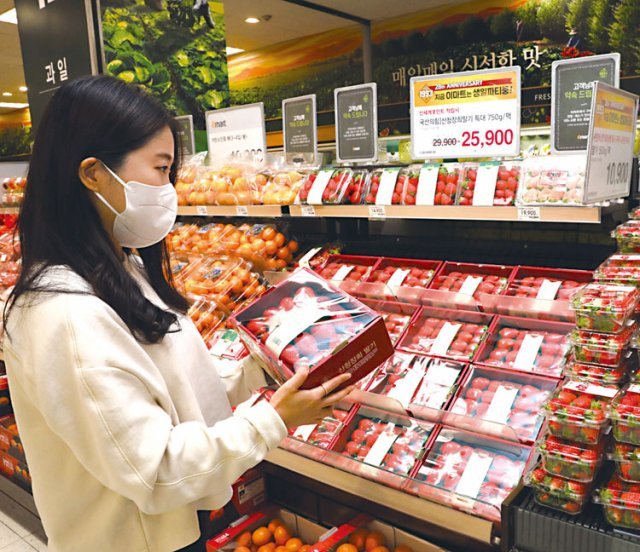 이마트 성수점에서 고객이 딸기를 고르고 있다.