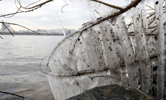 서울 아침 기온이 영하권으로 떨어진 14일 오전 서울 여의도 한강공원 일대에 고드름이 얼어있다. 2021.12.14/뉴스1 © News1