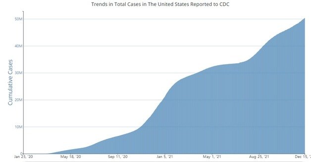 미국 내 일일 코로나19 확진자 수. © 뉴스1 (미 CDC)