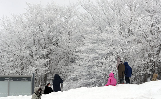 제주 한라산 1100고지 휴게소를 찾은 사람들이 겨울 정취를 즐기고 있다. 2021.1.6/뉴스1 © News1