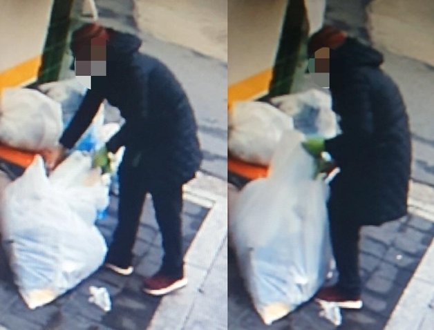 서울 은평구에 거주하는 것으로 추정되는 한 여성이 종량제 봉투에 담긴 쓰레기는 버리고 봉투만 훔쳐가는 모습이 포착됐다. (‘보배드림’ 갈무리) © 뉴스1