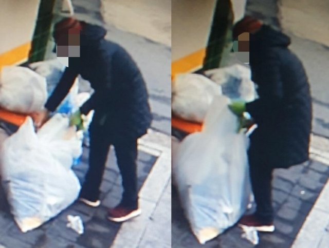 한 여성이 종량제 봉투에 담긴 쓰레기는 버리고 봉투만 훔쳐가는 모습. 보배드림 갈무리