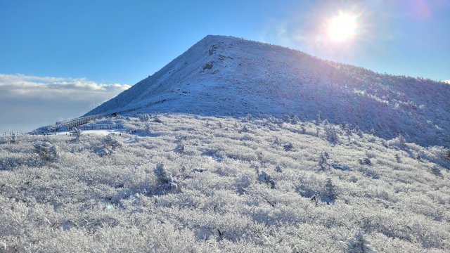 성탄절인 25일 오전 강원도 인제군 설악산에 많은 눈이 내려 장관을 이루고 있다. 설악산 국립공원사무소 제공