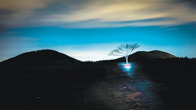김동광 ‘새별’  어두운 전경에 작은 나무가 서 있는 광경이 신비롭다. 나무는 환경 문제에도 희망이 있다는 걸 알려주는 듯하다.