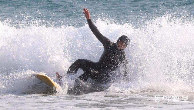 부산=박경모 기자 momo@donga.com