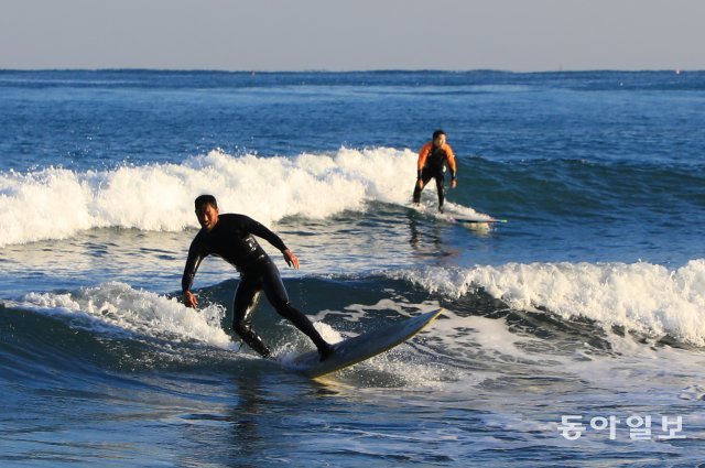 양양=전영한 기자 scoopjyh@donga.com