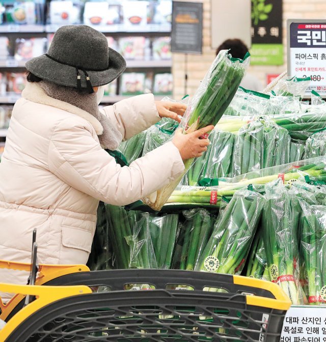 31일 서울의 한 대형마트에서 고객들이 장을 보고 있다. 통계청에 따르면 지난해 소비자 물가지수는 1년 전보다 2,5% 올라 10년 만에 상승률이 가장 컸다. 뉴스1