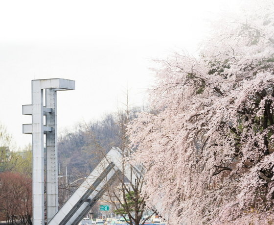 서울대학교 정문 © 뉴스1 (서울대학교 제공)