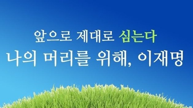 디시인사이드 갈무리.© 뉴스1