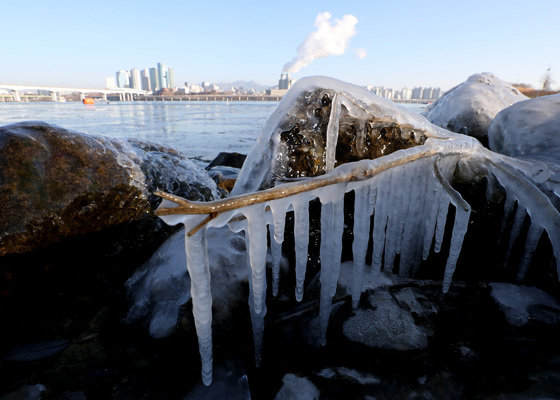 한파가 이어지고 있는 12일 오전 서울 영등포구 여의도 한강공원 강변에 고드름이 얼어 있다. 2022.1.12/뉴스1 © News1