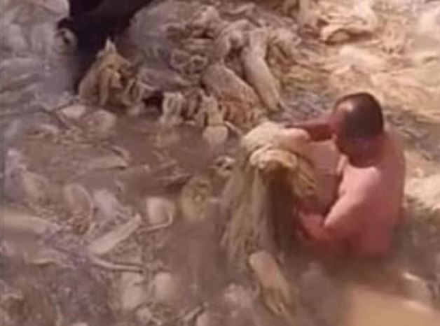 지난해 3월 중국에서 한 남성이 나체로 김치를 제조하는 수조에서 작업을 해 이른바 ‘알몸 김치’ 논란이 일어났다. (유튜브 갈무리) © 뉴스1