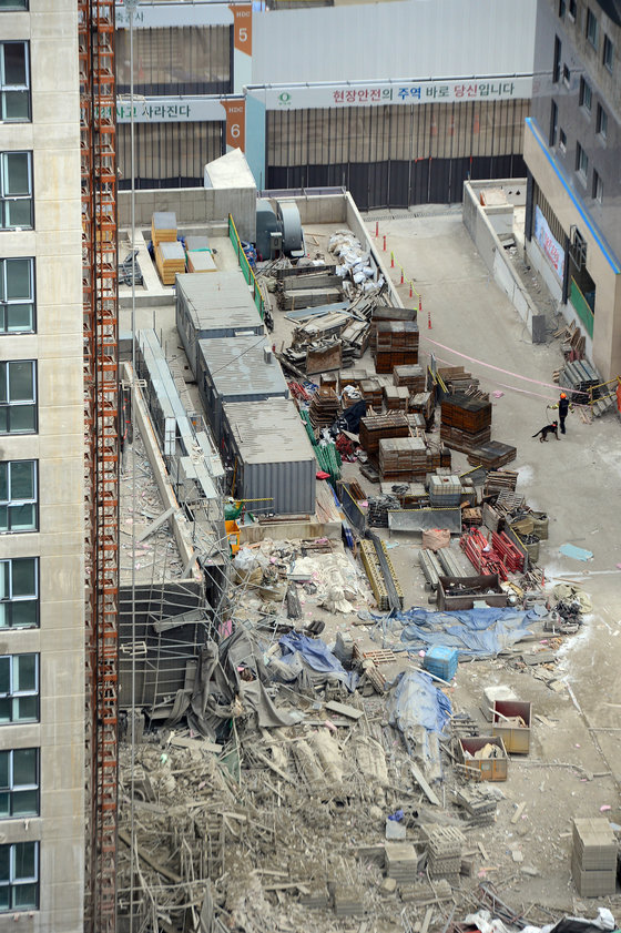 12일 오후 광주 서구 화정동 신축 아파트 붕괴 사고 현장에서 소방당국 관계자들이 수색견을 투입해 수색을 하고 있다. 해당 신축 아파트에서는 전날 오후 3시46분쯤 외벽이 붕괴돼 작업 중이던 6명이 실종됐다. 2022.1.12/뉴스1 © News1