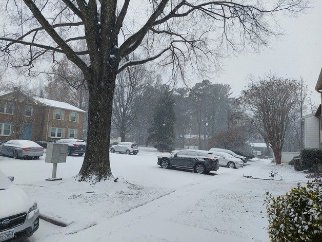 미국 동부 해안에 불어닥친 겨울 폭풍이 16일(현지시간) 워싱턴DC 인근 지역에 눈을 뿌리고 있다. 사진은 버지니아주의 한 주택가에 눈이 내리고 있는 모습. © 뉴스1