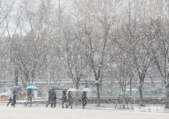 시민들이 대설주의보가 발효된 19일 우산을 쓰고 서울광장을 지나가고 있다.