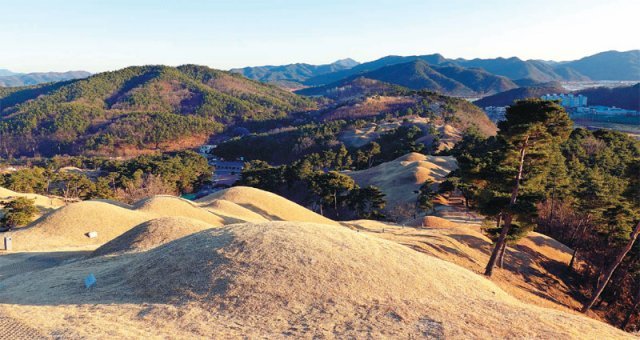 가야산의 지맥이 이어진 곳에 조성된 경북 고령군 지산동고분군. 2.4km의 능선을 따라 무려 700여 기의 고분들이 포도송이처럼 맺힌 모습이다. 능선과 봉분이 절묘한 조화를 이룬 이 가야고분군은 유네스코 세계유산 등재를 앞두고 있다.