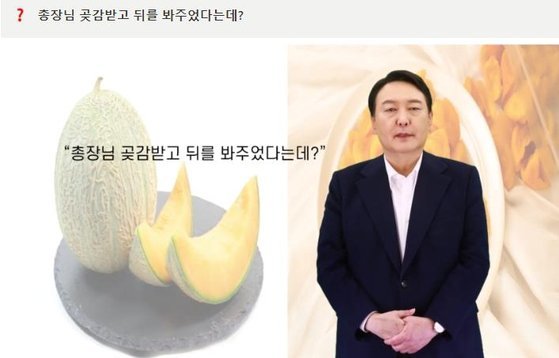 사진=‘윤석열 공약위키’ 사이트 동영상 캡처