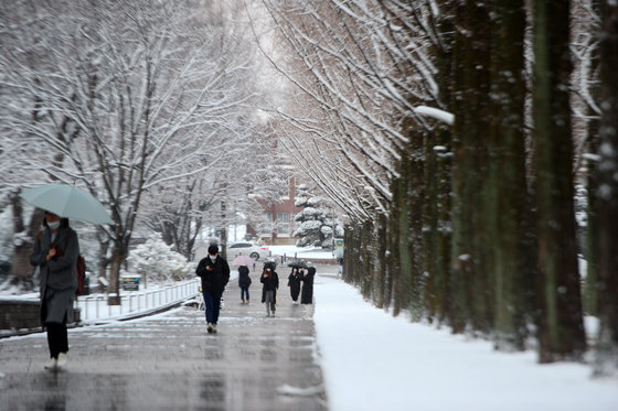 광주 북구 전남대학교에 눈이 쌓여 있다./뉴스1 DB © News1