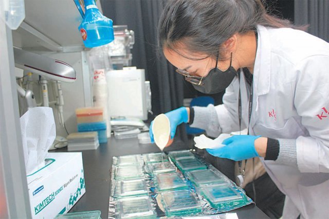 한국과학기술연구원(KIST)의 연구자가 미세먼지가 뇌에 미치는 영향을 분석하기 위한 ‘브레인 칩’을 제조하고 있다. 한국과학기술연구원 제공