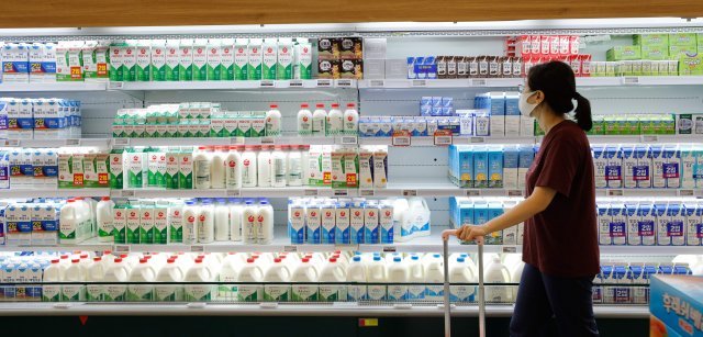 우유가격 상승을 막기 위해 ‘용도별 차등 가격제’ 도입을 추진해온 정부는 다양한 의견을 수렴해 물량을 단계적으로 조정해나가는 수정안을 최근 발표했다. 서울의 한 대형마트의 유제품 판매대. 뉴스1