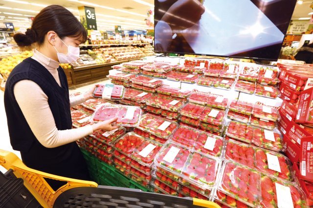 이마트 성수점 딸기 매장. 이마트는 국내 소비자가 선호하는 대중 과일을 중심으로 품종 다양화 노력을 지속하고 있으며, 그중에서도 특히 프리미엄 딸기에 대한 
고객 반응이 긍정적이다.
