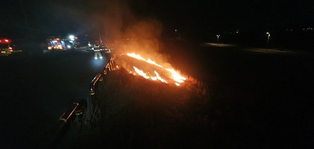 일 오후 10시56분쯤 세종시 금강 일원에서 방화로 추정되는 불이 잇따라 발생했다. © 뉴스1