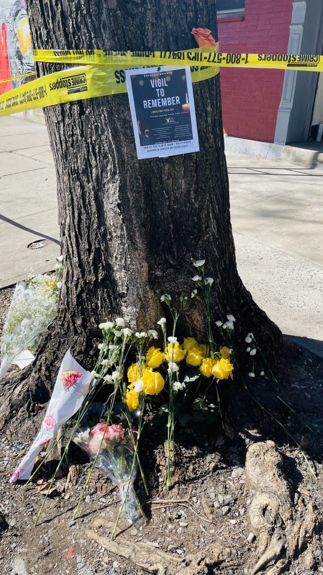 14일 미국 뉴욕 맨해튼 차이나타운 북부의 한 아파트 앞 나무에 전날 노숙자에게 살해당한 30대 한국계 여성을 추모하는 꽃송이들이 놓여 있다.