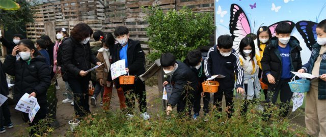 제주 서귀포시의 한 치유농장에서 어린이들이 텃밭 가꾸기 체험을 하고 있다. 정기적으로 동식물 매개 프로그램에 참여해 건강을 증진하고, 심신을 회복하는 치유농업이 새로운 농업 비즈니스 모델로 떠올랐다. 제주도농업기술원 제공