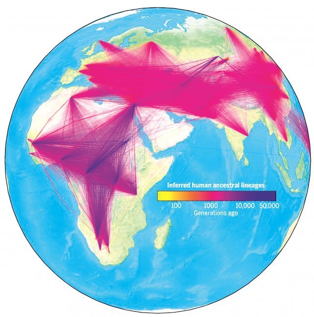 고대와 현대의 인류 유전체 정보를 기반으로 시간과 공간에 따라 추론한 인류 가계도를 시각화했다. 각각의 선은 부모와 자손 간의 관계를, 선의 굵기는 이런 관계를 관찰한 횟수를 보여준다. 선의 색깔에 따라 연도도 나눴다. 옥스퍼드대 제공
