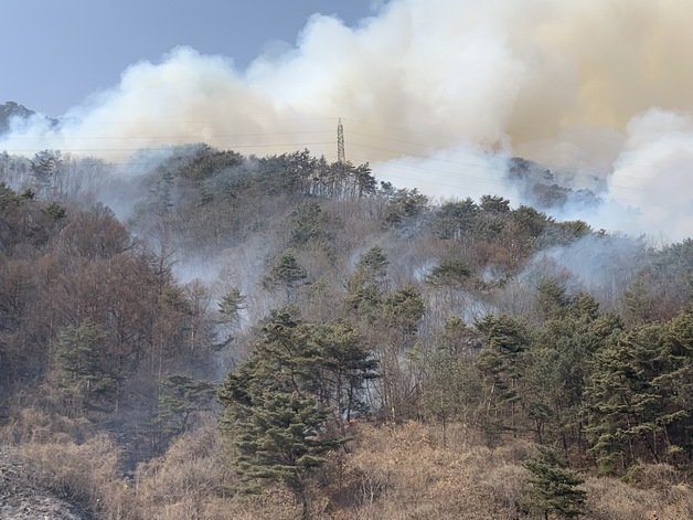 4일 낮 12시 45분쯤 강원 영월군 김삿갓면 외룡리에서 산불이 발생, 산림당국과 소방, 영월군이 진화 작업에 나서고 있다. 영월군 제공