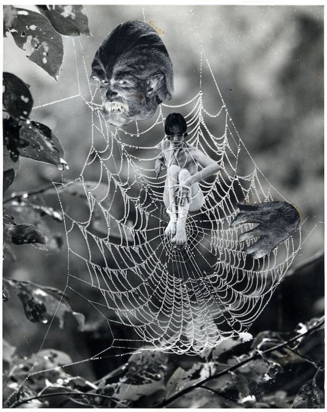 페니 슬링거, The Web, 1973-74, 출처 : pennyslinger.com