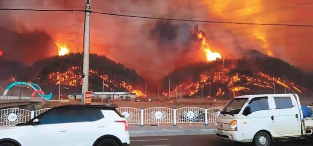 국도 7호선 주변까지 덮쳐… 4일 경북 울진군 북면에서 발생한 대형 산불이 국도 7호선과 접해 있는 흥부생활체육공원 인근 야산을 불태우고 있다. 소셜미디어(SNS) 캡처