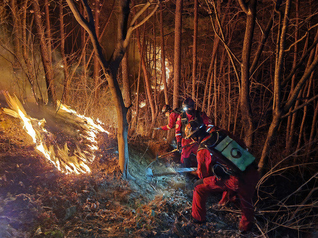 산림청 산림항공본부 소속 공중진화대원들이 28일 경남 합천군 율곡면에서 산불을 진화하고 있다. (산림청 제공) 2022.3.1/뉴스1