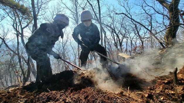 안산 수리산자락 산불 진화작업에 투입된 수도군단사령부 장병들. © 뉴스1