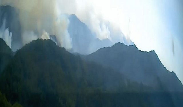 산림청 중앙산불방지대책본부