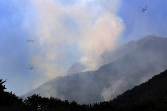 2일 오후 대구 달성군 가창면 주암산 산불 진화에 투입된 소방·산림청·국방부 헬기가 번갈아 물을 퍼붓고 있다. 2022.3.2/뉴스1