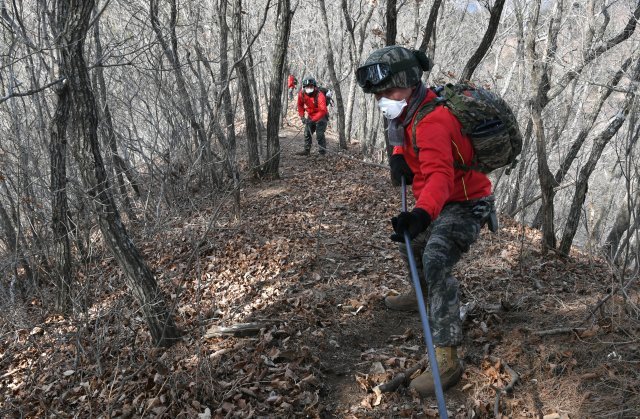 7일 해병대 신속대응부대 장병들이 금강송 군락지를 사수하기 위해 물호스를 투입하고 있다. 해병대 1사단 제공