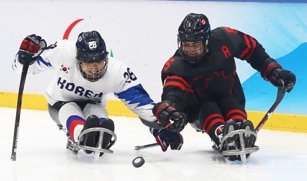 한국 파라아이스하키 대표팀이 캐나다에 0-6으로 패했다.(대한장애인체육회 제공)© 뉴스1
