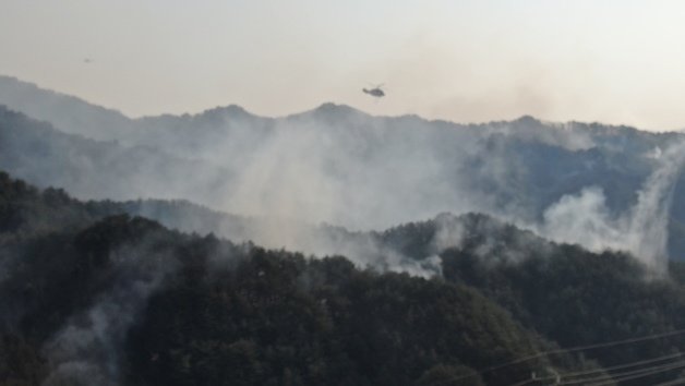 8일 강원 동해시 비천골 산불현장에 투입된 소방 헬기가 산불 진화 작전을 펼치고 있다.(강원도소방본부 제공) 2022.3.8/뉴스1 © News1