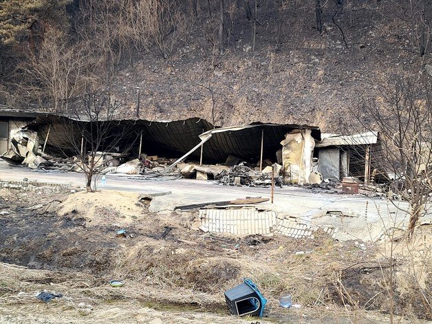 울진 북면 소곡1리의 한 주택이 산불에 무너진 모습. 2022.3.10/뉴스1 © News1 조현기 기자