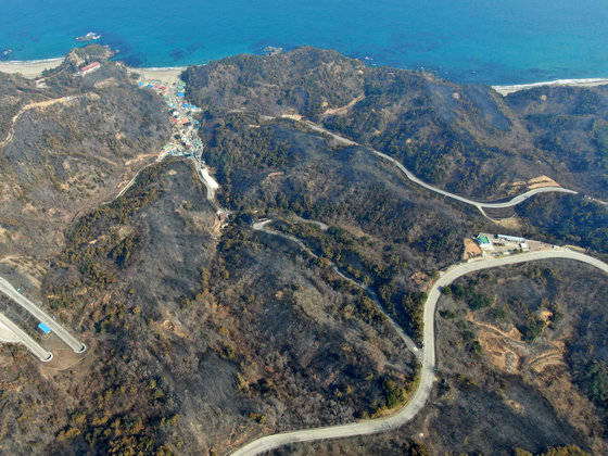 경북 울진·강원 삼척 산불 엿새째인 9일 강원도 삼척시 원덕읍 월천리 고포해변 주변 일대 산림이 불에 타 까맣게 그을려 있다. 산림청과 소방당국, 지자체에 따르면 이날 울진˙삼척 산불의 전체 진화율은 70%까지 높아진 상황이다. 2022.3.9/뉴스1